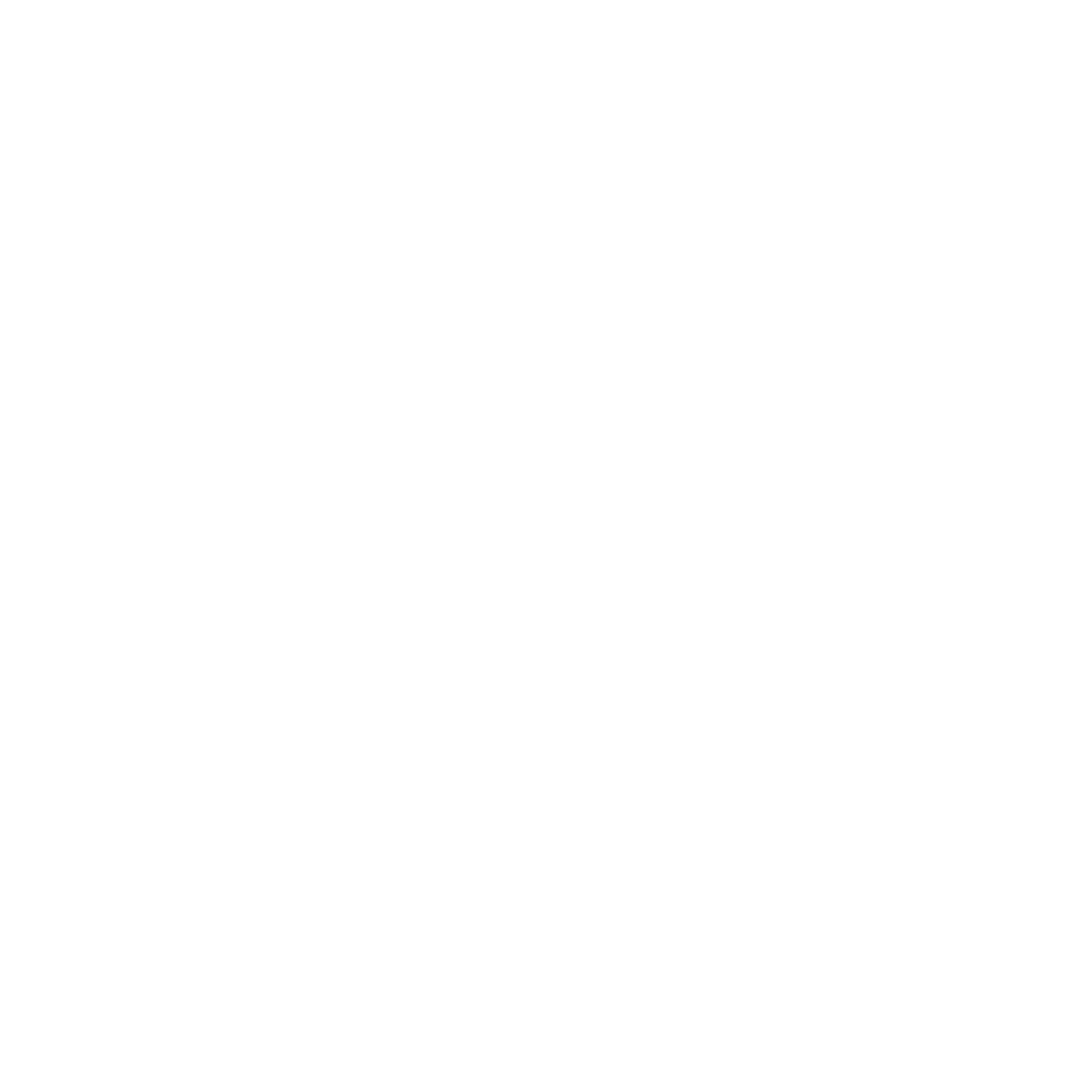 Logo S et L vf P bl